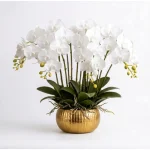 Ivory Orchid Luxe Arrangement - Image 3