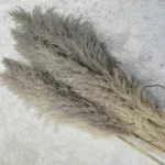 Natural Grey Pampas Grass Stem - Image 10