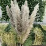 Natural Grey Pampas Grass Stem - Image 11