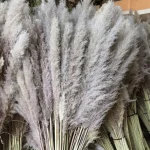 Natural Grey Pampas Grass Stem - Image 12