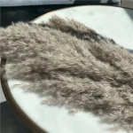 Natural Grey Pampas Grass Stem - Image 13