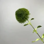 Artificial Craspedia Stem - Image 2