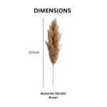 Natural Brown Pampas Grass Stem - Image 2