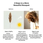 Natural Brown Pampas Grass Stem - Image 3
