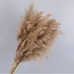Natural Brown Pampas Grass Stem - Image 5