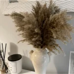 Natural Brown Pampas Grass Stem - Image 7