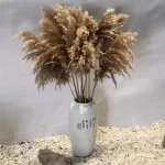 Natural Brown Pampas Grass Stem - Image 9