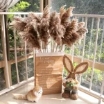 Natural Brown Pampas Grass Stem - Image 10
