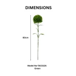 Artificial Craspedia Stem - Image 3