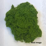 Premium Decorative Loose Moss - Image 12