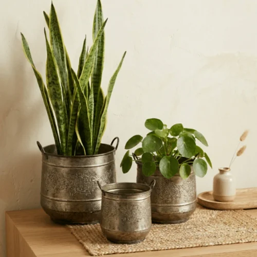 Vintage Bronze Planter Set
