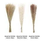 Dried Reed Grass Bundle - Image 2