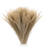 Dried Reed Grass Bundle - Image 3