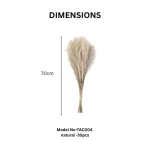 Dried Reed Grass Bundle - Image 4