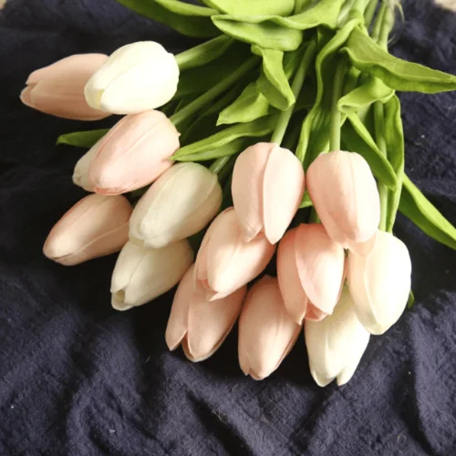 Flower Mini Tulip single stem