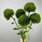 Artificial Craspedia Stem - Image 4