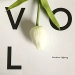 Artificial Flower Mini Tulip single stem - Image 7