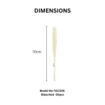 Dried Reed Grass Bundle - Image 8