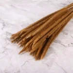 Dried Reed Grass Bundle - Image 13