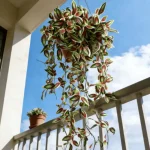 Artificial Hanging Vine - Image 4