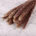 Dried Wheat Bundle - Image 4
