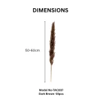 Dried Wheat Bundle - Image 5