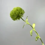 Artificial Craspedia Stem - Image 6