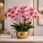 Blush Orchid Luxe Arrangement - Image 5