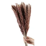 Dried Wheat Bundle - Image 6