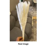 Dried Wheat Bundle - Image 9