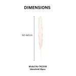 Dried Wheat Bundle - Image 10