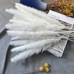 Dried Wheat Bundle - Image 11