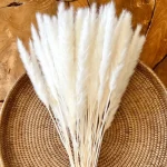Dried Wheat Bundle - Image 14