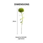 Artificial Craspedia Stem - Image 7