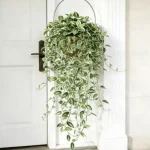 Artificial Hanging Vine - Image 6