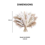 Classic Pampas Fan Arrangement - Image 2