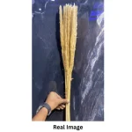 Dried Wheat Bundle - Image 17