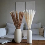 Dried Wheat Bundle - Image 23