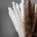 Dried Wheat Bundle - Image 24
