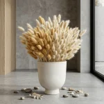 Dried Bunny Tail Grass