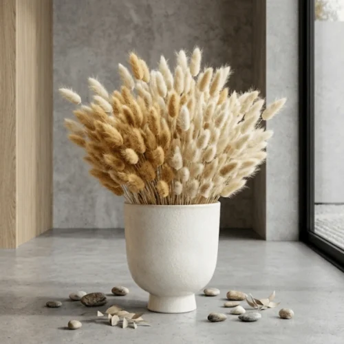 Dried Bunny Tail Grass