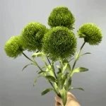 Artificial Craspedia Stem - Image 8