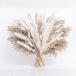 Classic Pampas Fan Arrangement - Image 3