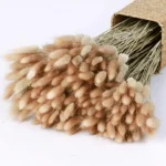 Dried Bunny Tail Grass - Image 5