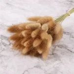 Dried Bunny Tail Grass - Image 2