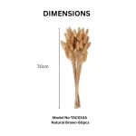 Dried Bunny Tail Grass - Image 3