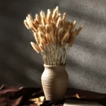 Dried Bunny Tail Grass - Image 6