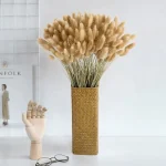 Dried Bunny Tail Grass - Image 7