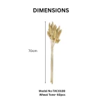 Dried Bunny Tail Grass - Image 9