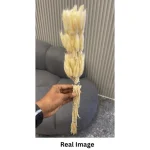 Dried Bunny Tail Grass - Image 10